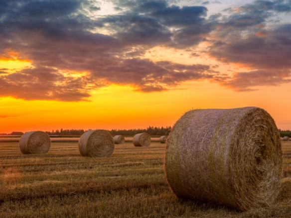depositphotos 48320927 l