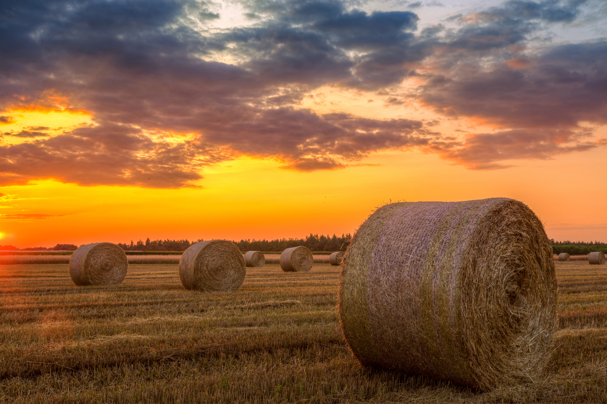 depositphotos 48320927 l