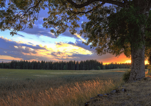 real estate acreage