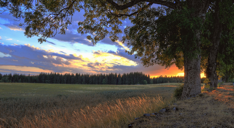 real estate acreage