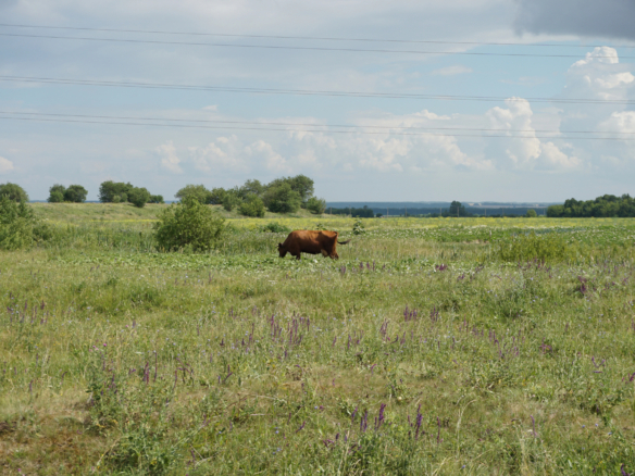 depositphotos 205239796 l
