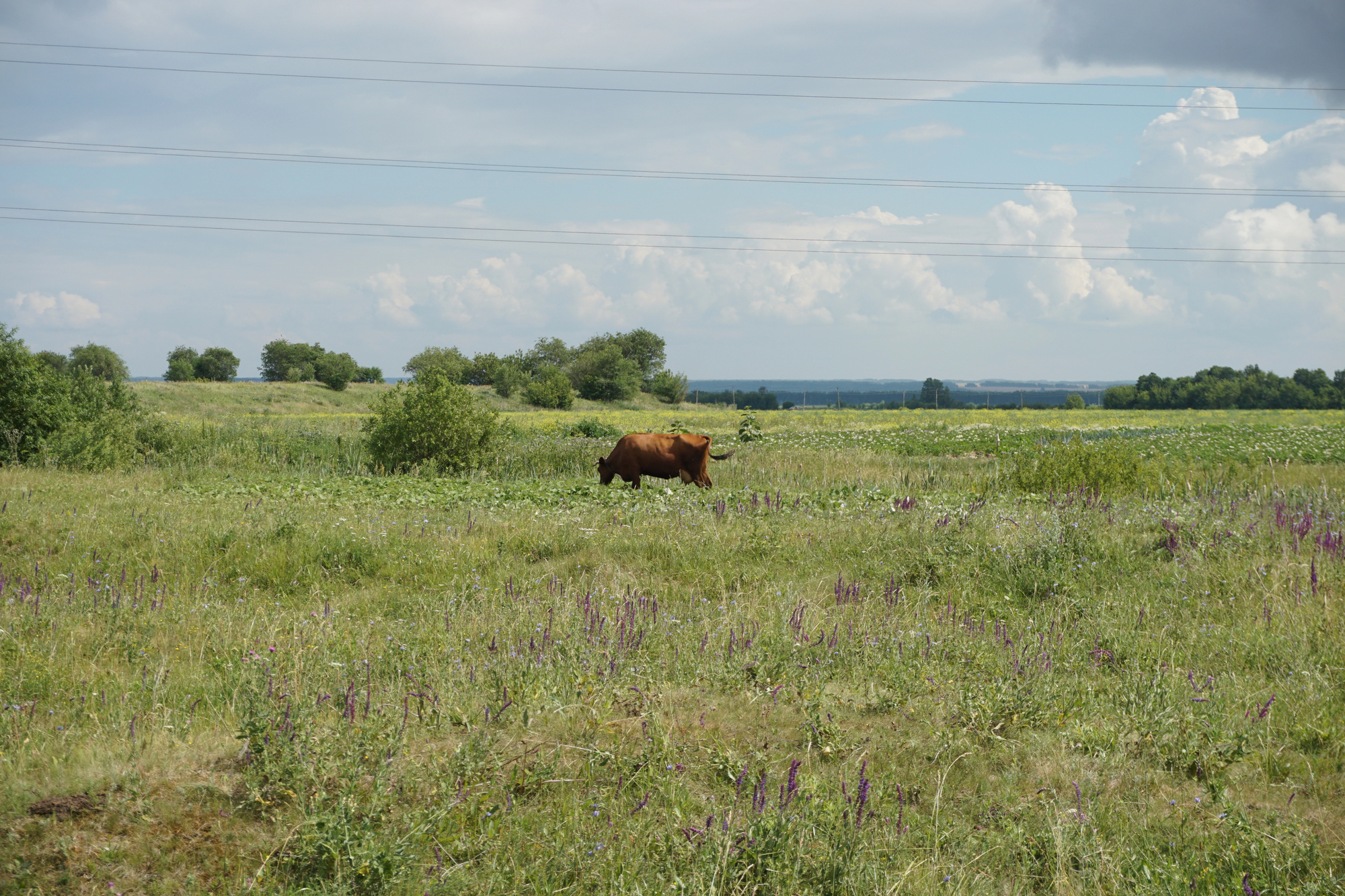 depositphotos 205239796 l