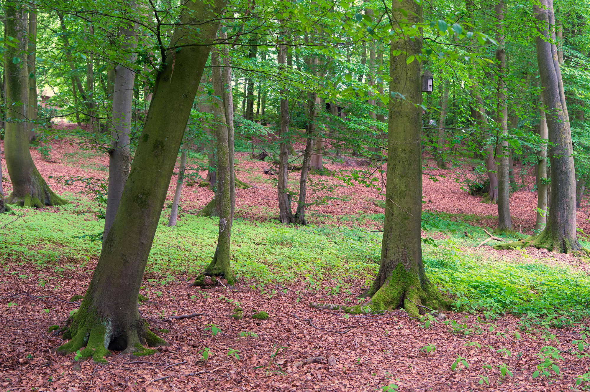 depositphotos 279010930 l